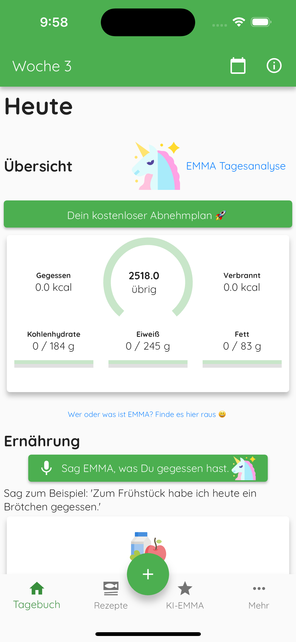 Ernaehrungsplan zum Abnehmen